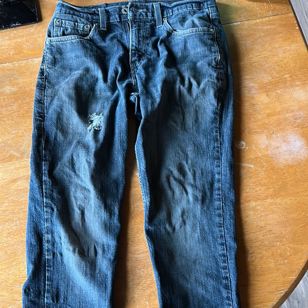Levi Strauss, Blue, 28 by 29, 99% cotton